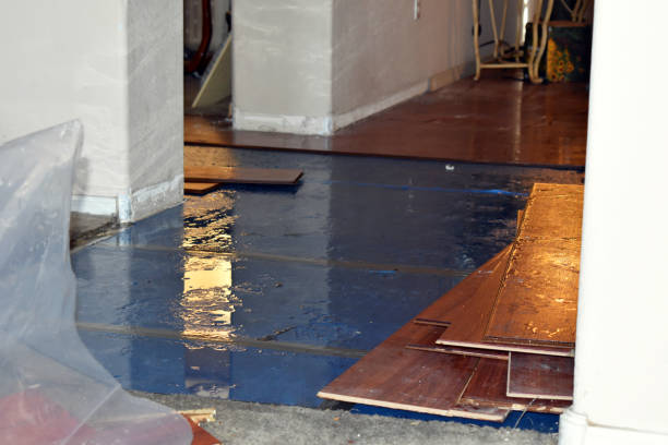 Professional Emergency Water Damage Restoration technician working in Amboy, WA