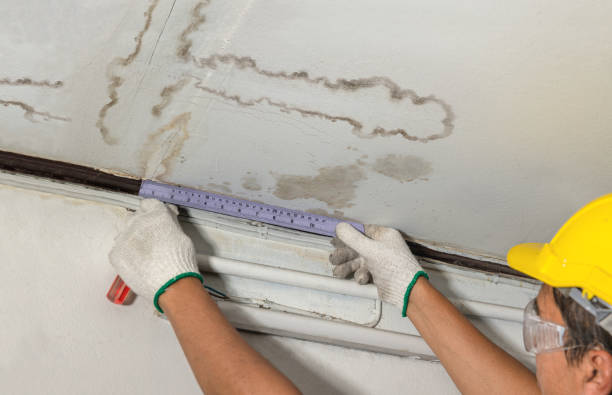 Reliable Emergency Water Damage Restoration contractor in Amboy, WA by Water Damage Irwin